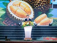 Khai mạc Lễ hội Sầu riêng Đắk Lắk 2026