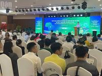 Tăng cường hợp tác nâng cao chuỗi cung ứng và giá trị ngành hàng sầu riêng xuyên biên giới Việt Nam-Trung Quốc
