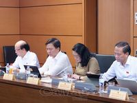 ĐBQH Cà Mau kiến nghị tháo gỡ điểm nghẽn, nâng hiệu quả đầu tư công
