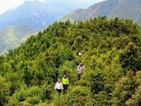 Đánh thức tiềm năng du lịch cộng đồng Suối Tọ