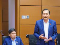 ĐBQH Cà Mau đề xuất mở rộng cơ chế lấn biển, bảo đảm môi trường và sinh kế