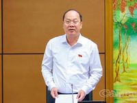 ĐBQH Cà Mau đề xuất mở rộng cơ chế lấn biển, bảo đảm môi trường và sinh kế