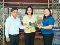 Cần Thơ đưa công nghệ và kinh tế tuần hoàn vào sản xuất nông nghiệp