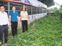 Cần Thơ đưa công nghệ và kinh tế tuần hoàn vào sản xuất nông nghiệp