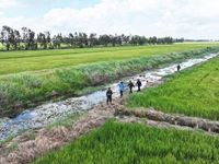 An Giang khoanh vùng tìm gần 300 liệt sĩ hy sinh tại Rừng Tràm 800