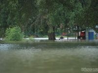 Hà Nội: Cận cảnh 'rốn ngập' ở xã Trung Giã, người dân phải dùng thuyền đi lại
