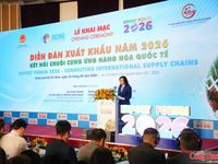Chùm ảnh: Khai mạc Viet Nam International Sourcing 2026