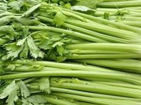 Vì sao cần tây có lợi cho người muốn kiểm soát huyết áp?