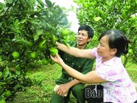 Biến chất thải thành tài nguyên: Giá trị kép từ nông nghiệp tuần hoàn