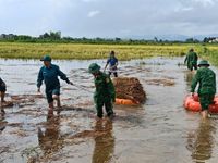 Lội ruộng, giúp dân chạy đua với mưa để cứu lúa