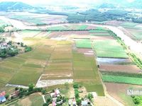 Lũ dữ rút đi, nước mắt nông dân ở lại