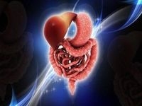 Những tác dụng tuyệt vời không ngờ tới từ hạt chia