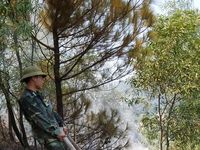Cháy rừng ở Nghệ An nghi do người dân đốt vàng mã cúng Rằm tháng 7