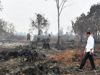 Cháy rừng Indonesia khiến các nước láng giềng 'nghẹt thở'