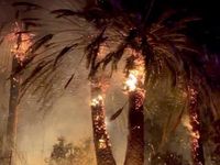 Biển lửa nhấn chìm bang California Mỹ