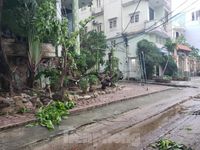 Đà Nẵng ngổn ngang sau bão Molave