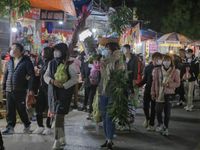 Tấp nập phiên chợ 'cả năm chỉ họp một lần' ở tỉnh Nam Định