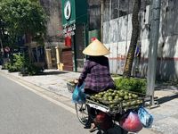 Người dân Hà Nội chật vật mưu sinh dưới nắng nóng gay gắt 40 độ C