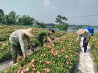 Người chỉ huy mang tư duy đổi mới ở Cơ sở cai nghiện ma túy số 3 TP Hà Nội