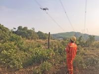 Truyền tải điện Thành phố Hồ Chí Minh 2: Nỗ lực giữ vững hành lang an toàn tuyến 500kV Bắc - Nam lịch sử