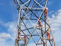 Truyền tải điện Thành phố Hồ Chí Minh 2: Nỗ lực giữ vững hành lang an toàn tuyến 500kV Bắc - Nam lịch sử