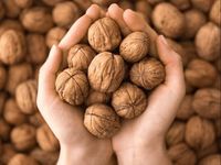 Các loại hạt nhỏ bé nhưng mang lại nhiều lợi ích cho sức khỏe