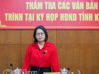 Rà soát, hoàn thiện các nghị quyết về phân bổ nguồn lực