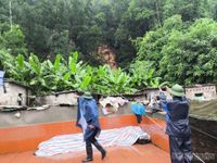 Hải Phòng: Bão số 4 mưa lớn gây ngập úng diện rộng và sạt lở đất tại nhiều khu vực