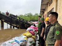Công an xã Tây Phương dốc sức giữ đê, ngăn nước tràn vào khu dân cư