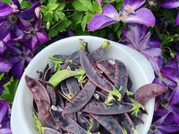 Tháng 10 đi chợ gặp 2 loại rau này đừng bỏ qua, giàu chất xơ, vitamin, chế biến món nào cũng ngon
