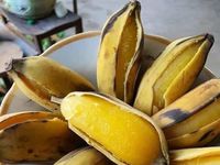 Loại chuối đặc biệt ở Việt Nam, chín vàng vẫn phải luộc mới ngon, giá tới 50.000 đồng/kg