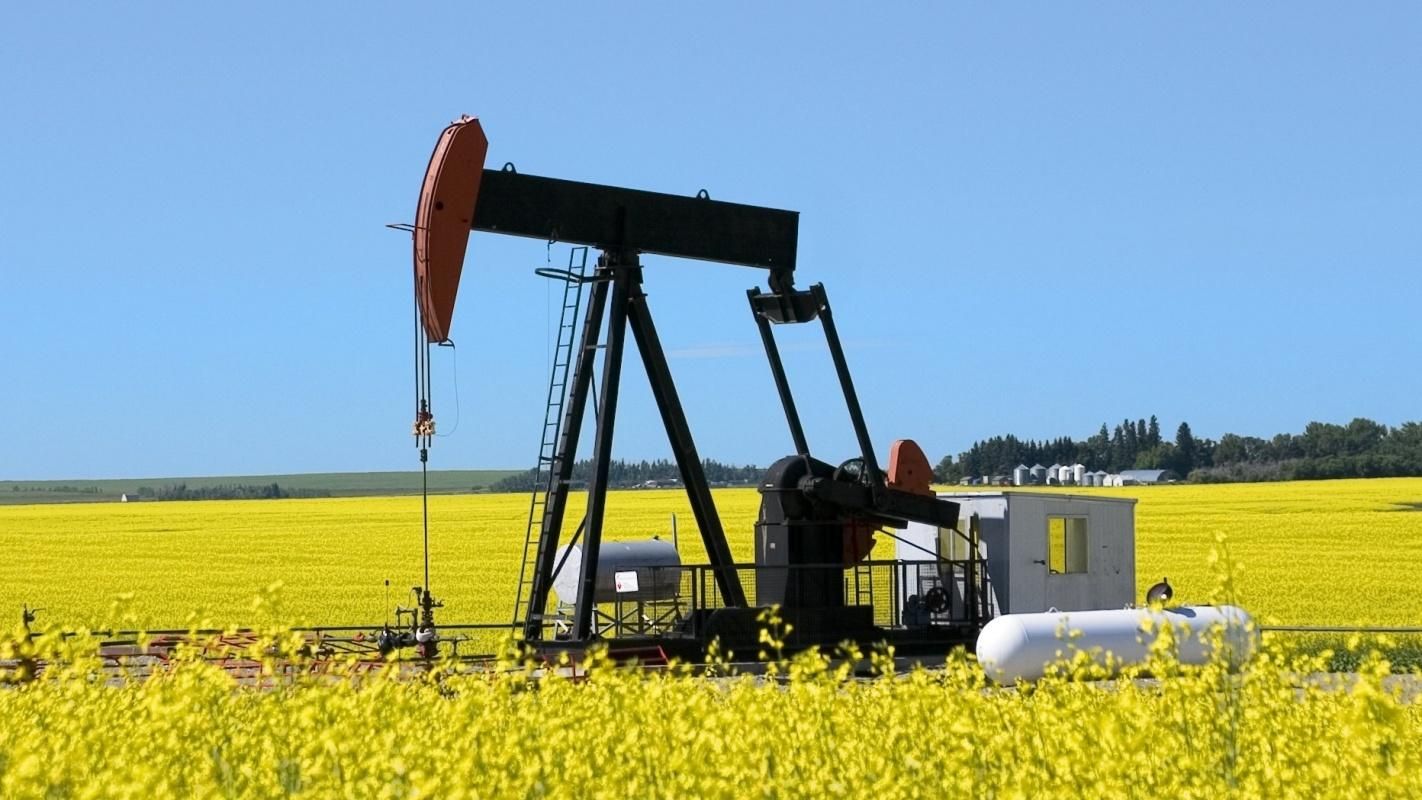 Giá xăng dầu hôm nay 3/11: OPEC+ ngừng tăng sản lượng trong quý I/2026