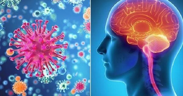 Bệnh não mô cầu nhóm B - mối đe dọa sức khỏe cộng đồng