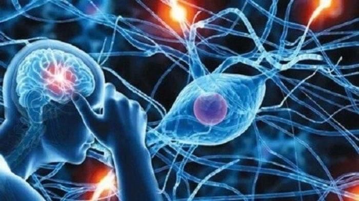 Nguy cơ gia tăng bệnh não mô cầu, cách phòng tránh hiệu quả