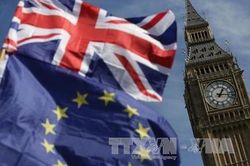Sách Trắng Brexit còn nhiều 'điểm mù'