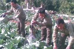 Dưới chân núi Ngải Thầu