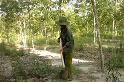 Cuộc phục sinh trên 'vùng đất chết'