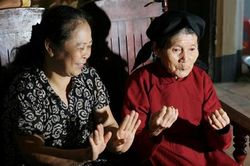 Cây cổ thụ của những điệu Xoan