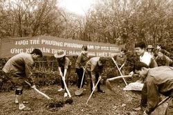 Xây dựng nông thôn mới ở Hòa Bình