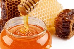 Bài thuốc trị viêm phế quản mạn tính kết hợp mật ong