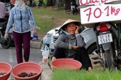 Ham cua ghẹ giá rẻ có ngày rước họa