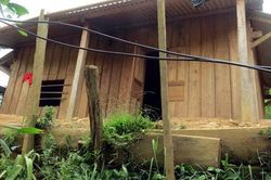 Bi kịch khó tin từ cuộc sống loạn luân giữa rừng