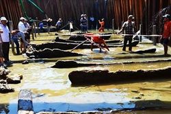 Những 'kho báu' dưới đáy biển