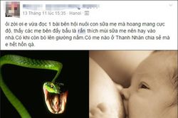 Mẹ trẻ hoảng hồn trước tin đồn 'rắn thích bú sữa'