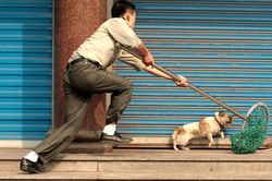 Tử hình tên trộm chó điên cuồng giết 2 người