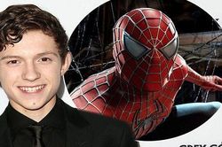 'Tom Holland sẽ là Spider-Man lý tưởng nhất trong vòng 14 năm qua'