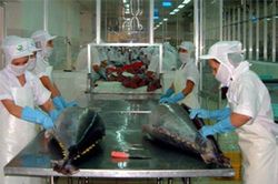 Tái cơ cấu nông nghiệp: Nhìn từ xuất- nhập nông, thủy sản
