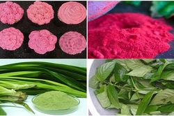 Sốt xình xịch cây lá nhuộm màu bánh trung thu