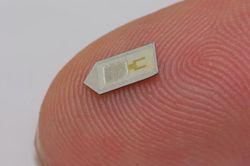 Tương tác người với máy tính bằng chip silicon cấy trong não