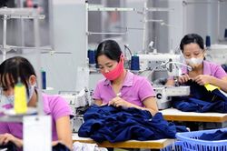 DN thích Hiệp định thương mại tự do Việt Nam – EU hơn TPP